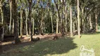 Foto 21 de Fazenda/Sítio com 2 Quartos à venda, 18700m² em Campestre da Faxina, São José dos Pinhais