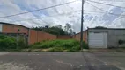 Foto 4 de Lote/Terreno à venda, 250m² em Novo Aleixo, Manaus