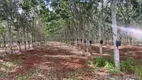 Foto 4 de Fazenda/Sítio com 7 Quartos à venda em , Campo Alegre de Goiás