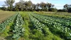 Foto 4 de Galpão/Depósito/Armazém à venda, 47228600m² em Belém Novo, Porto Alegre