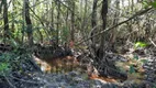 Foto 23 de Fazenda/Sítio à venda, 1000m² em Sao Jose dos Salgados, Carmo do Cajuru