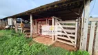 Foto 21 de Fazenda/Sítio com 10 Quartos à venda, 800m² em Vila Cearense, Araguaína