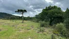 Foto 5 de Fazenda/Sítio à venda, 20000m² em , Urubici