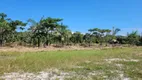 Foto 13 de Lote/Terreno à venda, 4200m² em Praia do Ervino, São Francisco do Sul