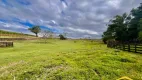 Foto 38 de Fazenda/Sítio com 3 Quartos para alugar, 200m² em Lomba Grande, Novo Hamburgo