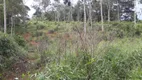 Foto 27 de Lote/Terreno à venda, 20000m² em Zona Rural, Caeté