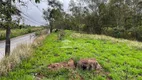 Foto 13 de Lote/Terreno à venda, 194m² em Quinta dos Angicos, Cotia