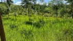 Foto 19 de Fazenda/Sítio à venda, 330000m² em Aratingauba, Imaruí