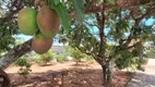 Foto 9 de Fazenda/Sítio com 2 Quartos à venda, 100m² em Monte Belo, Taubaté