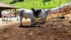 Foto 17 de Fazenda/Sítio com 3 Quartos à venda, 220m² em Zona Rural, Ouro Fino