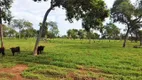 Foto 13 de Fazenda/Sítio à venda em Centro, Anastácio