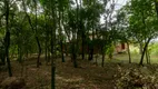 Foto 10 de Fazenda/Sítio com 4 Quartos à venda, 6648m² em Lageado, Porto Alegre
