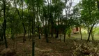 Foto 10 de Fazenda/Sítio com 4 Quartos à venda, 6649m² em Lageado, Porto Alegre