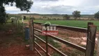 Foto 25 de Fazenda/Sítio à venda em Zona Rural, João Pinheiro