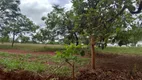 Foto 11 de Lote/Terreno à venda, 20000m² em Zona Rural, Jequitibá