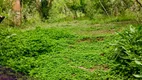 Foto 8 de Fazenda/Sítio com 3 Quartos à venda, 8100m² em Centro, Pedralva