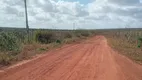 Foto 8 de Fazenda/Sítio com 3 Quartos à venda, 497000m² em Zona Rural, João Câmara