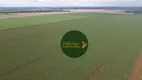 Foto 9 de Fazenda/Sítio à venda, 2662000m² em , Turvelândia