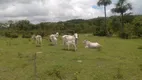 Foto 17 de Fazenda/Sítio à venda, 5904800m² em Zona Rural, Arraias