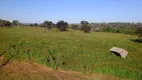 Foto 5 de Fazenda/Sítio à venda, 1210000m² em Centro, Santa Vitória