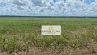 Foto 7 de Fazenda/Sítio à venda, 1000m² em Parque Vale Araguaia, Araguaína