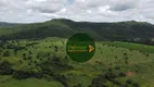 Foto 13 de Fazenda/Sítio à venda, 9002400m² em Zona Rural, Porangatu