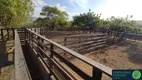 Foto 32 de Fazenda/Sítio à venda, 4190000m² em Zona Rural, Umirim