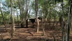 Foto 38 de Fazenda/Sítio à venda, 440000m² em Area Rural de Cuiaba, Cuiabá
