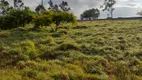 Foto 16 de Fazenda/Sítio com 3 Quartos à venda, 4600m² em Monte Alegre, Monte Alegre