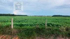 Foto 9 de Fazenda/Sítio à venda, 30201600m² em Zona Rural, Cristalândia