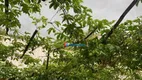 Foto 23 de Fazenda/Sítio com 3 Quartos à venda, 257m² em Chácara Grota Azul, Hortolândia