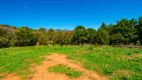 Foto 5 de Fazenda/Sítio com 4 Quartos à venda, 72400m² em Vila David Antonio, Campo Largo