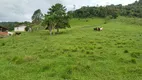 Foto 7 de Fazenda/Sítio com 2 Quartos à venda, 80000m² em Centro, Alfredo Wagner