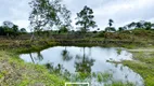 Foto 18 de Fazenda/Sítio com 6 Quartos à venda, 120000m² em Centro, Serraria