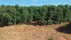 Foto 22 de Fazenda/Sítio com 4 Quartos à venda, 128260m² em Zona Rural, Monte Santo de Minas