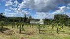 Foto 105 de Fazenda/Sítio com 9 Quartos à venda, 1180m² em Sítios Primavera, Jarinu