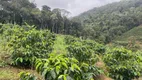 Foto 8 de Fazenda/Sítio à venda, 2500m² em Zona Rural, Santa Teresa