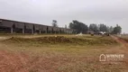 Foto 9 de Fazenda/Sítio à venda, 60500m² em , Mandaguaçu