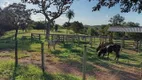 Foto 11 de Fazenda/Sítio com 3 Quartos à venda, 10m² em Zona Rural, Pontalina