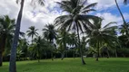 Foto 21 de Fazenda/Sítio com 5 Quartos à venda, 42000m² em Coqueiros de Arembepe Abrantes, Camaçari