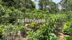 Foto 24 de Casa de Condomínio com 3 Quartos à venda, 200m² em Casa Branca, Brumadinho