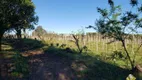 Foto 8 de Lote/Terreno à venda, 20000m² em Zona Rural, 