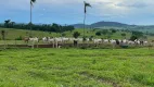 Foto 3 de Fazenda/Sítio à venda em Zona Rural, Avelinópolis