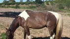 Foto 2 de Fazenda/Sítio com 3 Quartos à venda, 245000m² em São Vicente, Araruama