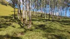 Foto 16 de Fazenda/Sítio à venda, 200000m² em Zona Rural, Cristina