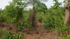 Foto 12 de Fazenda/Sítio com 4 Quartos à venda, 150m² em Ribeirão do Lipa, Cuiabá