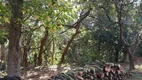 Foto 10 de Lote/Terreno à venda, 2846m² em Jardim Mediterrâneo, Cotia