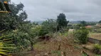 Foto 21 de Fazenda/Sítio com 4 Quartos à venda, 250m² em Zona Rural, Pinhalzinho