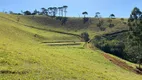 Foto 13 de Lote/Terreno à venda, 20000m² em Zona Rural, Santo Antônio do Pinhal