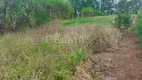 Foto 3 de Lote/Terreno à venda, 600m² em Curral, Ibiúna